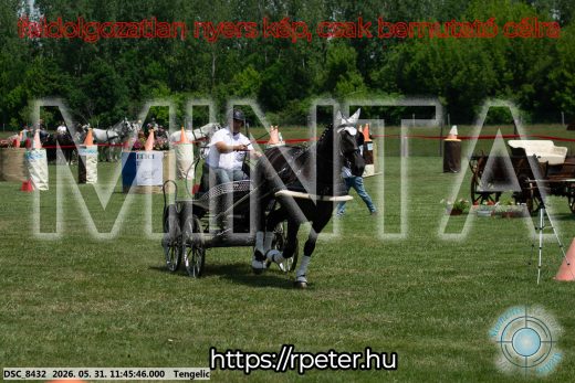 Mintakép 20260531-1373