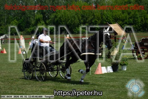 Mintakép 20260531-1375