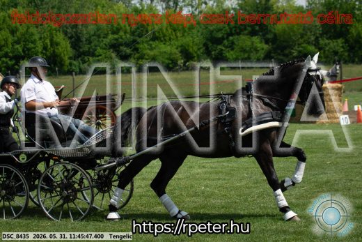 Mintakép 20260531-1376
