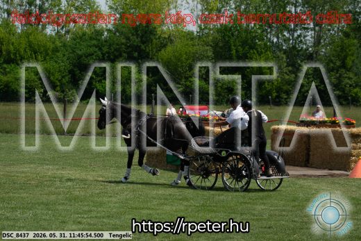 Mintakép 20260531-1378