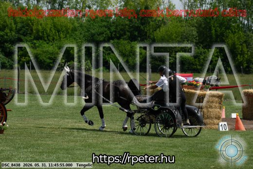 Mintakép 20260531-1379
