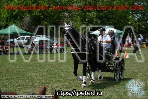 Mintakép 20260531-1380
