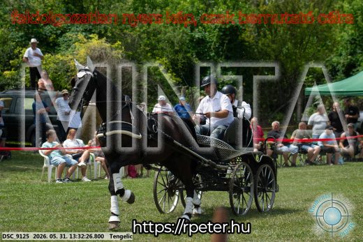 Mintakép 20260531-1381