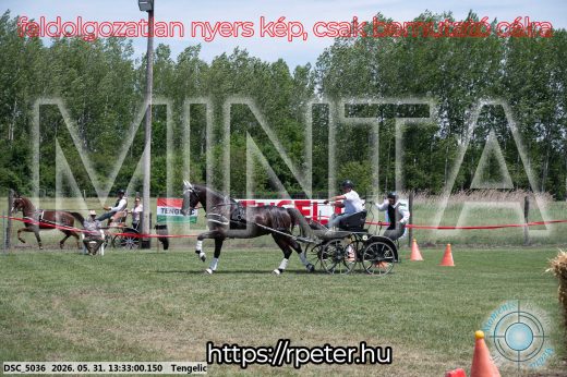 Mintakép 20260531-1383