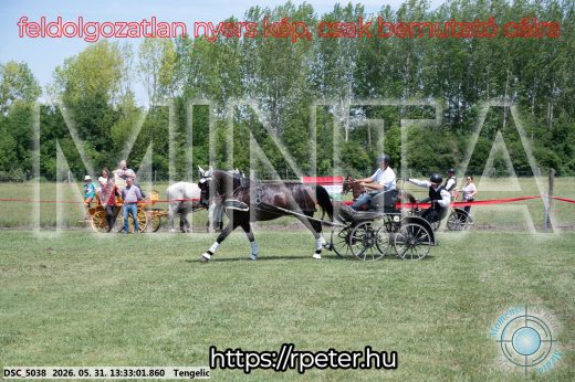 Mintakép 20260531-1385