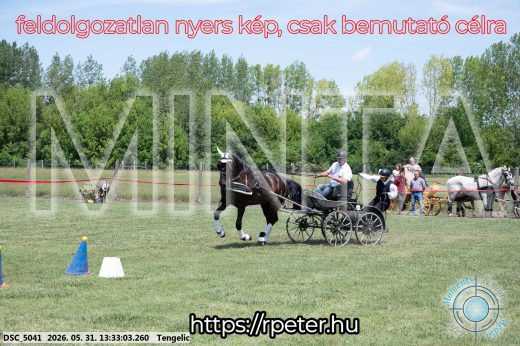 Mintakép 20260531-1388