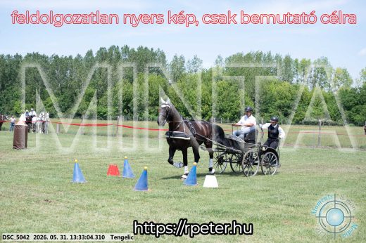 Mintakép 20260531-1389