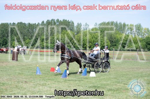 Mintakép 20260531-1390