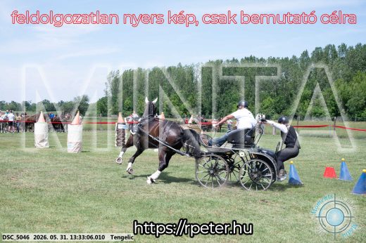 Mintakép 20260531-1392