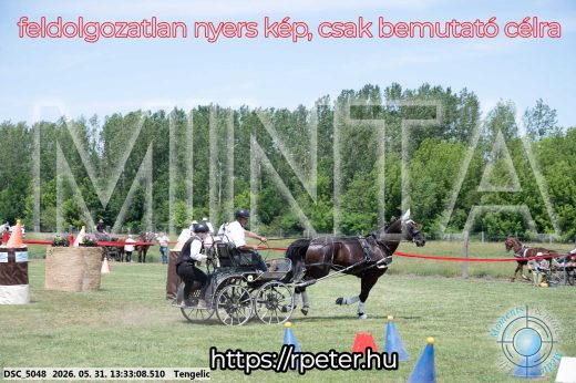Mintakép 20260531-1394