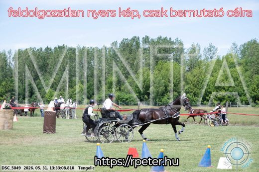 Mintakép 20260531-1395