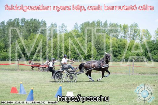 Mintakép 20260531-1396
