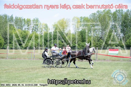 Mintakép 20260531-1397