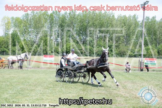 Mintakép 20260531-1398
