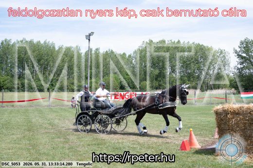Mintakép 20260531-1399