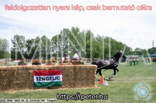 Mintakép 20260531-1402