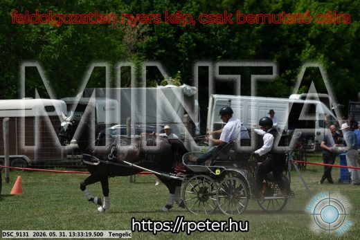 Mintakép 20260531-1406