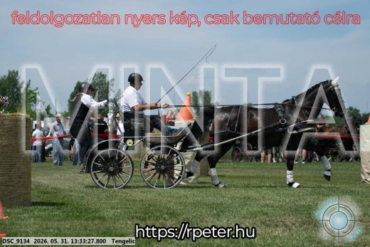 Mintakép 20260531-1409