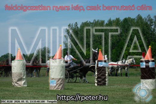 Mintakép 20260531-1410