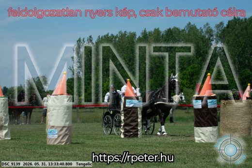 Mintakép 20260531-1411
