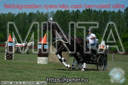 Mintakép 20260531-1412