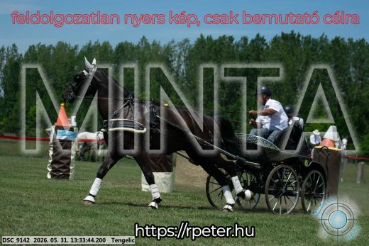 Mintakép 20260531-1413