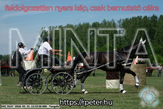 Mintakép 20260531-1417