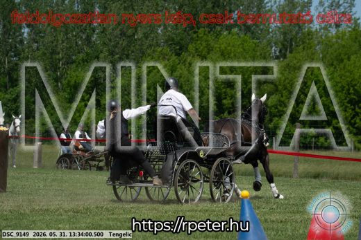 Mintakép 20260531-1419