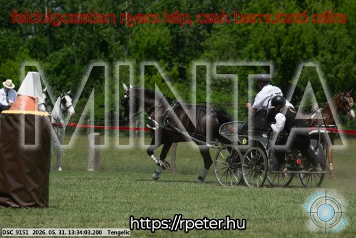 Mintakép 20260531-1421