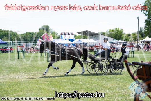 Mintakép 20260531-1424