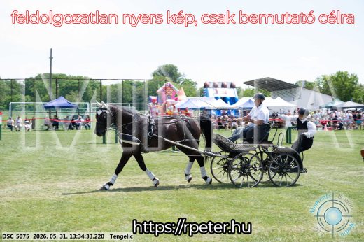 Mintakép 20260531-1425