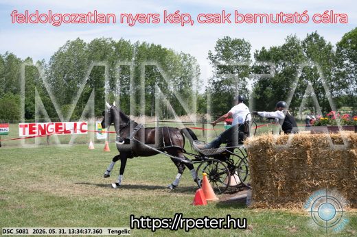 Mintakép 20260531-1427