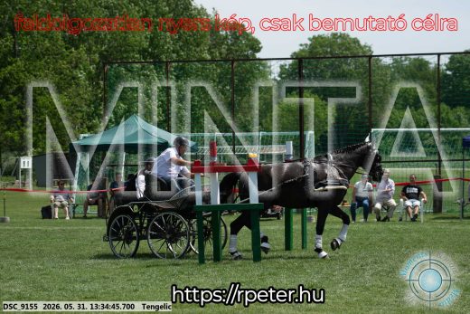 Mintakép 20260531-1428