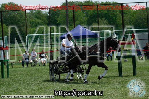 Mintakép 20260531-1429