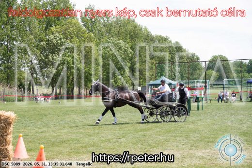 Mintakép 20260531-1430