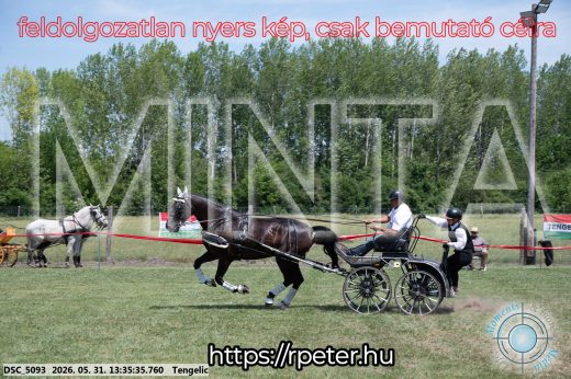 Mintakép 20260531-1433