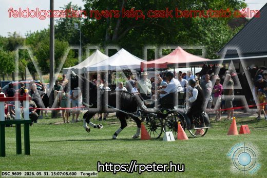 Mintakép 20260531-1439