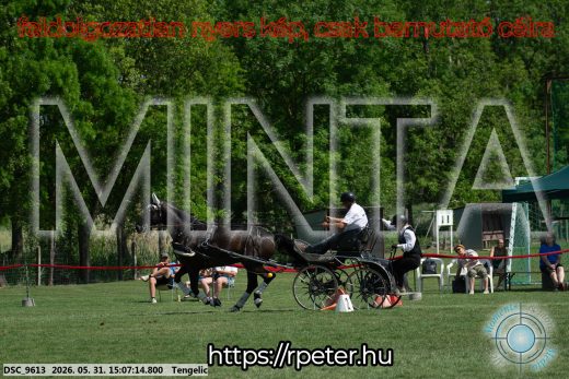 Mintakép 20260531-1441