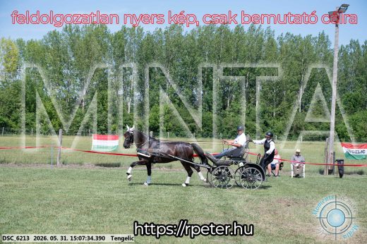 Mintakép 20260531-1443