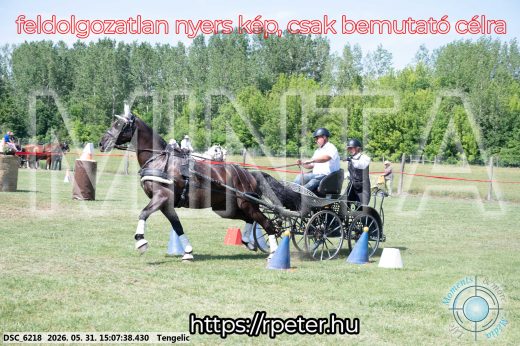 Mintakép 20260531-1446