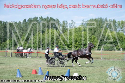 Mintakép 20260531-1449