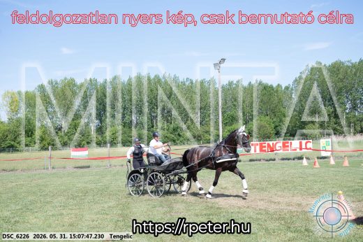 Mintakép 20260531-1450