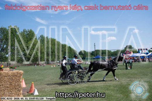Mintakép 20260531-1452