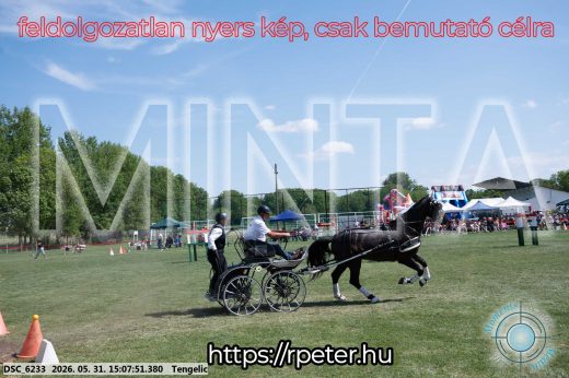 Mintakép 20260531-1453
