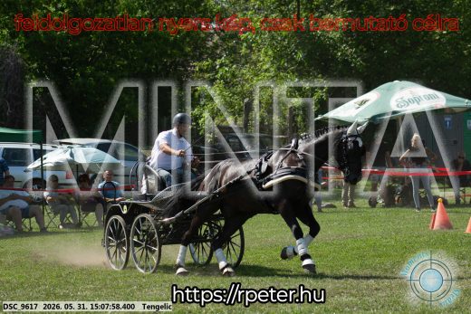 Mintakép 20260531-1454
