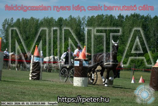Mintakép 20260531-1459