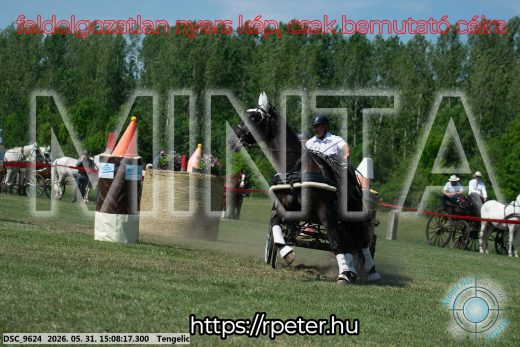 Mintakép 20260531-1460