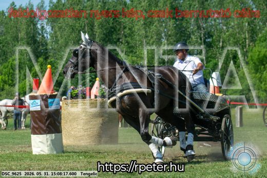 Mintakép 20260531-1461