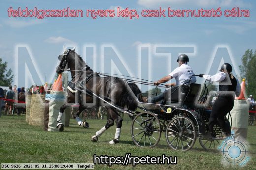 Mintakép 20260531-1462
