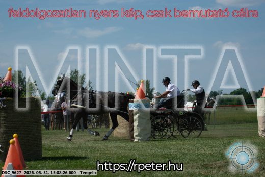 Mintakép 20260531-1463